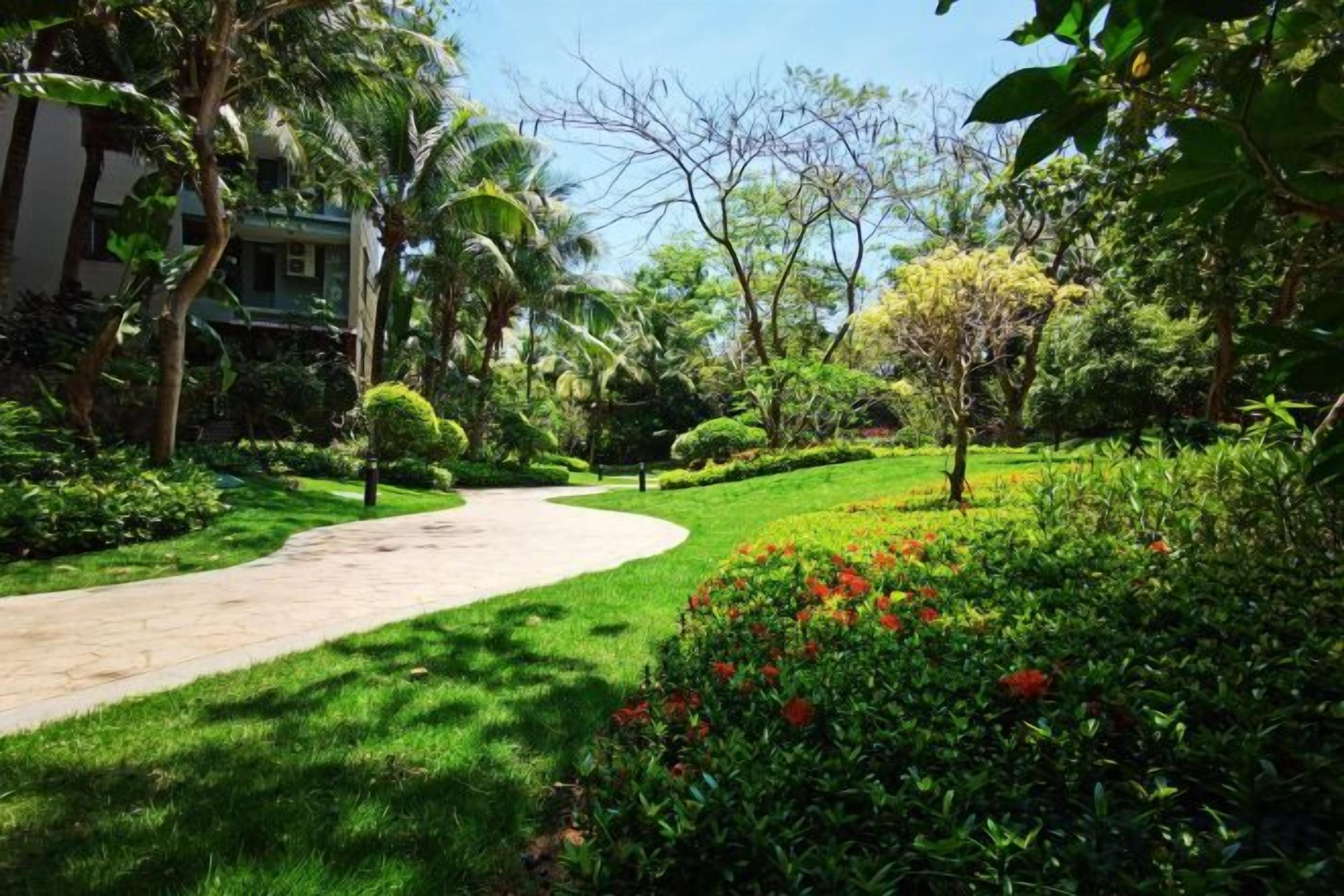 Un sendero atraviesa un jardín con diversas plantas y árboles.