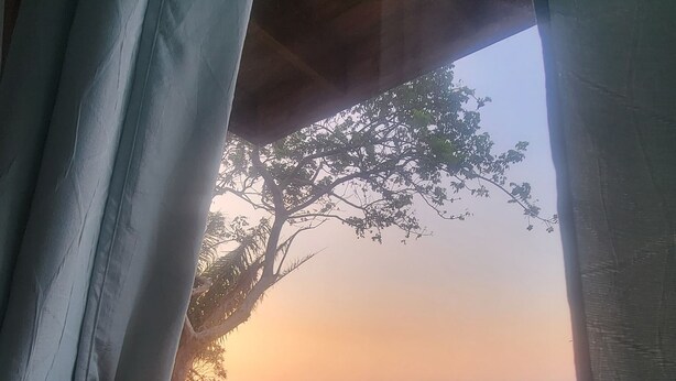 Una terraza de madera con vista a un árbol y al atardecer.