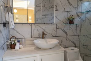 Shower, hair dryer, soap