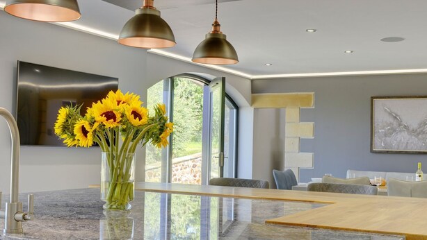 A modern kitchen with a granite countertop, a vase of sunflowers, and pendant lighting. - The Gate House (Richmond)