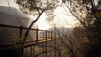 Vista des de l'habitació