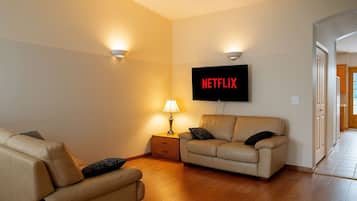 TV connectée, cheminée, livres