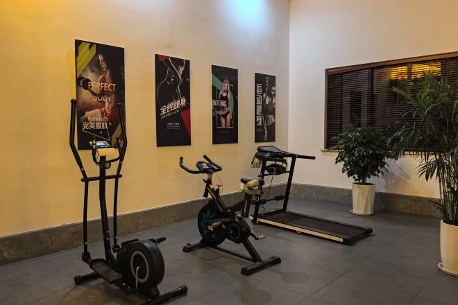 Een sportschool met hometrainers, loopbanden en trainingsapparatuur. Er hangen posters aan de muur en staat een plant in een pot.