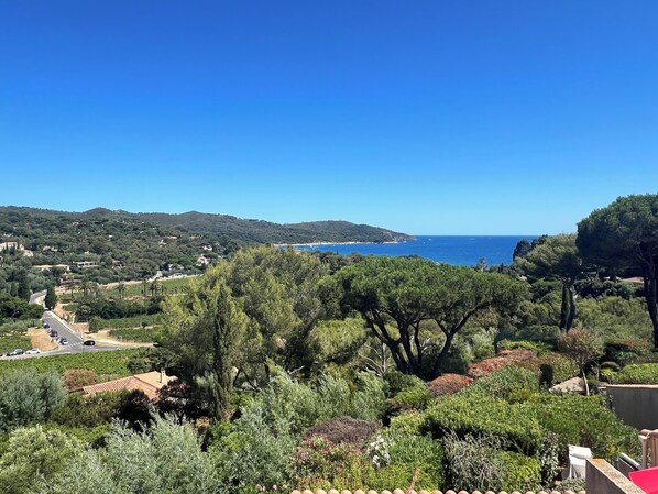 A coastal landscape with a road, dense greenery, and a clear blue sky.