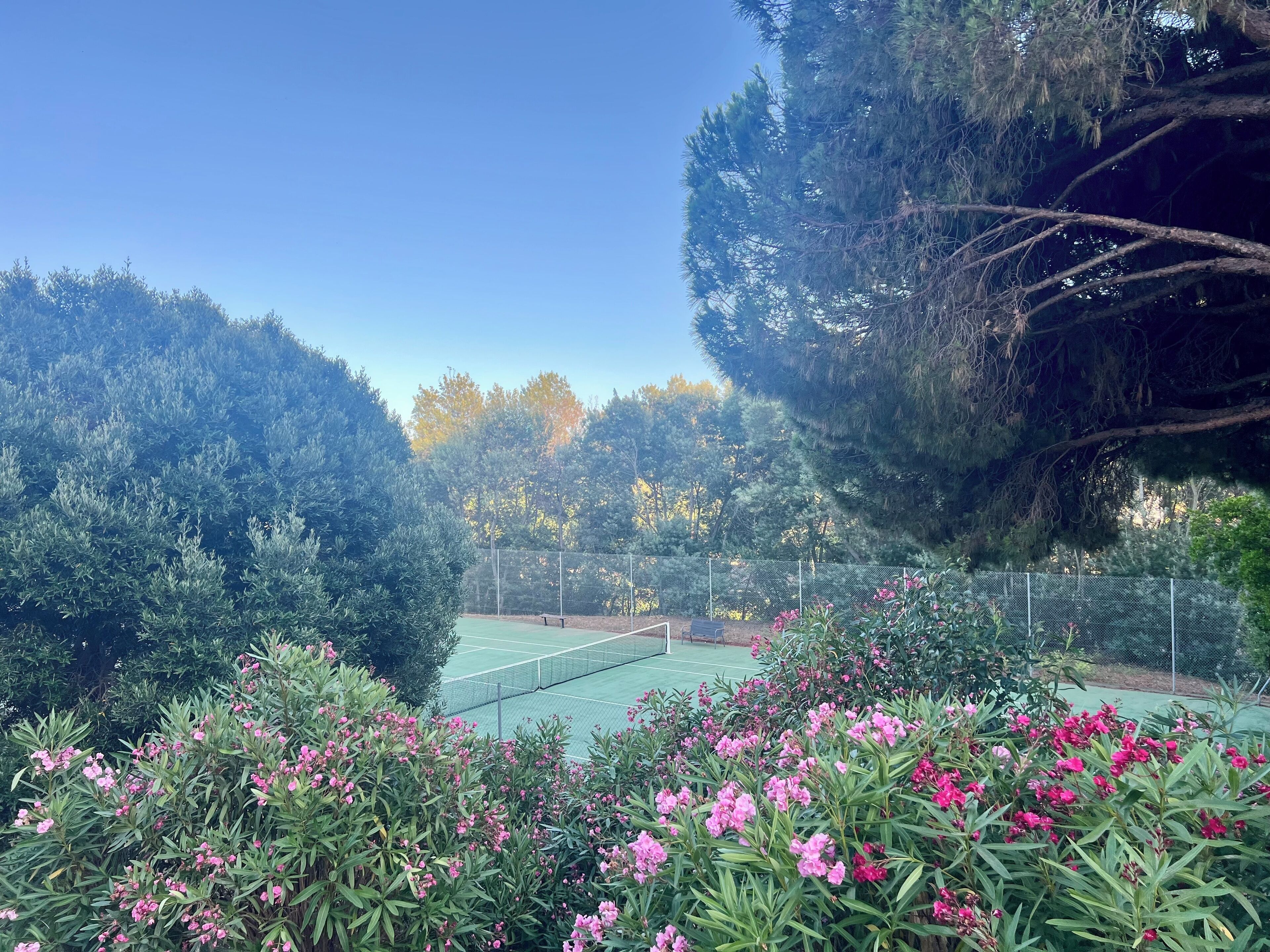 Un court de tennis entouré d’une végétation luxuriante et de plantes en fleurs.