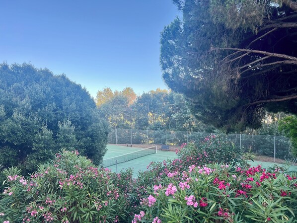 Een tennisbaan omringd door weelderige begroeiing en bloeiende planten.