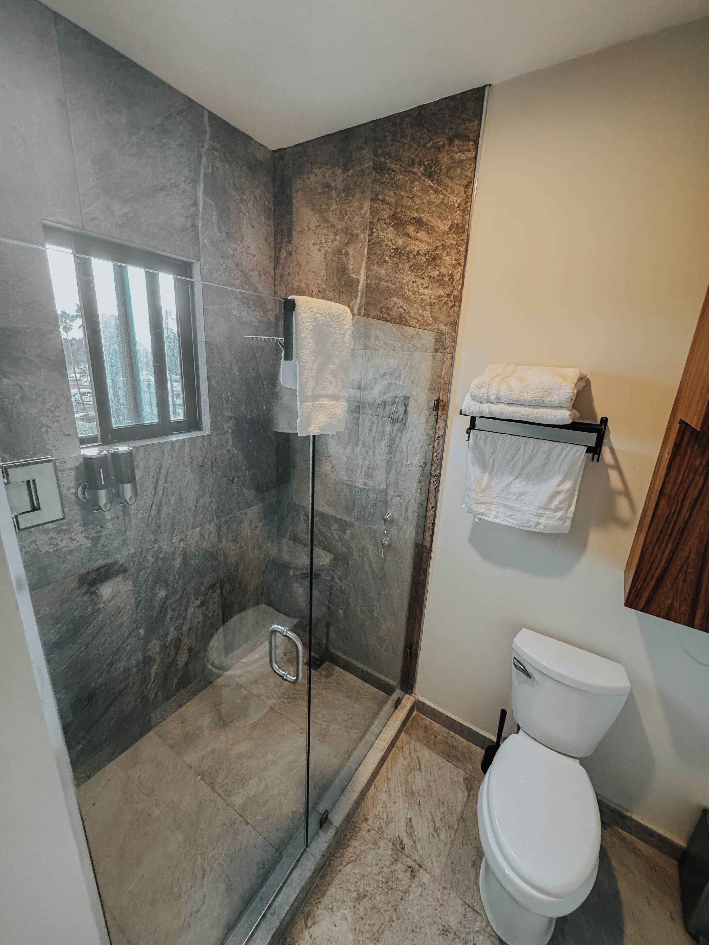 Une salle de bain avec une douche à parois de verre, des toilettes et un porte-serviettes.