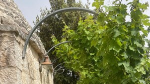 A stone pathway leading to a stone wall with a metal archway and a vine-covered trellis.