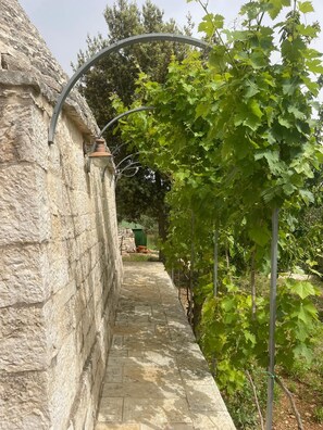 Property grounds - THE TRULLI OF MAYA ENCHANTED PLACE & SWIMMING POOL IN MONOPOLI (Puglia)