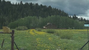 Ländliche Landschaft mit einer Holzhütte, einem Feld voller gelber Blumen und einem bewaldeten Hügel unter einem bewölkten Himmel.