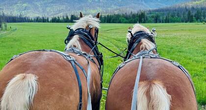 Grandma`s Over-The-River Cabin on a Working Wyoming Ranch