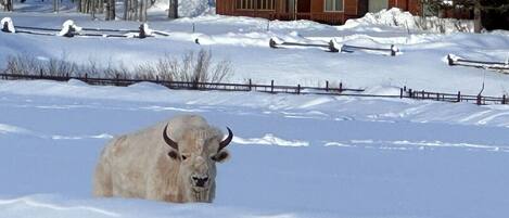 Parco della struttura