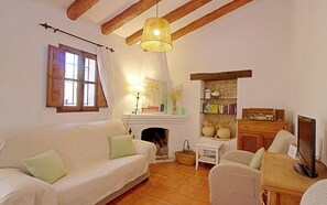 TV, fireplace, books