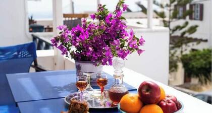 Calderimi apart. for 2-4 persons in Fira