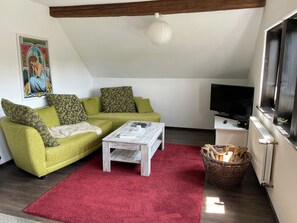 TV, fireplace, DVD player, table football