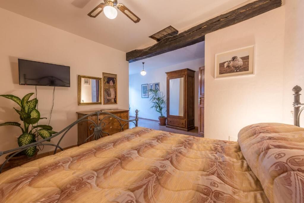 A bedroom with a bed, a television, a mirror, and a plant.