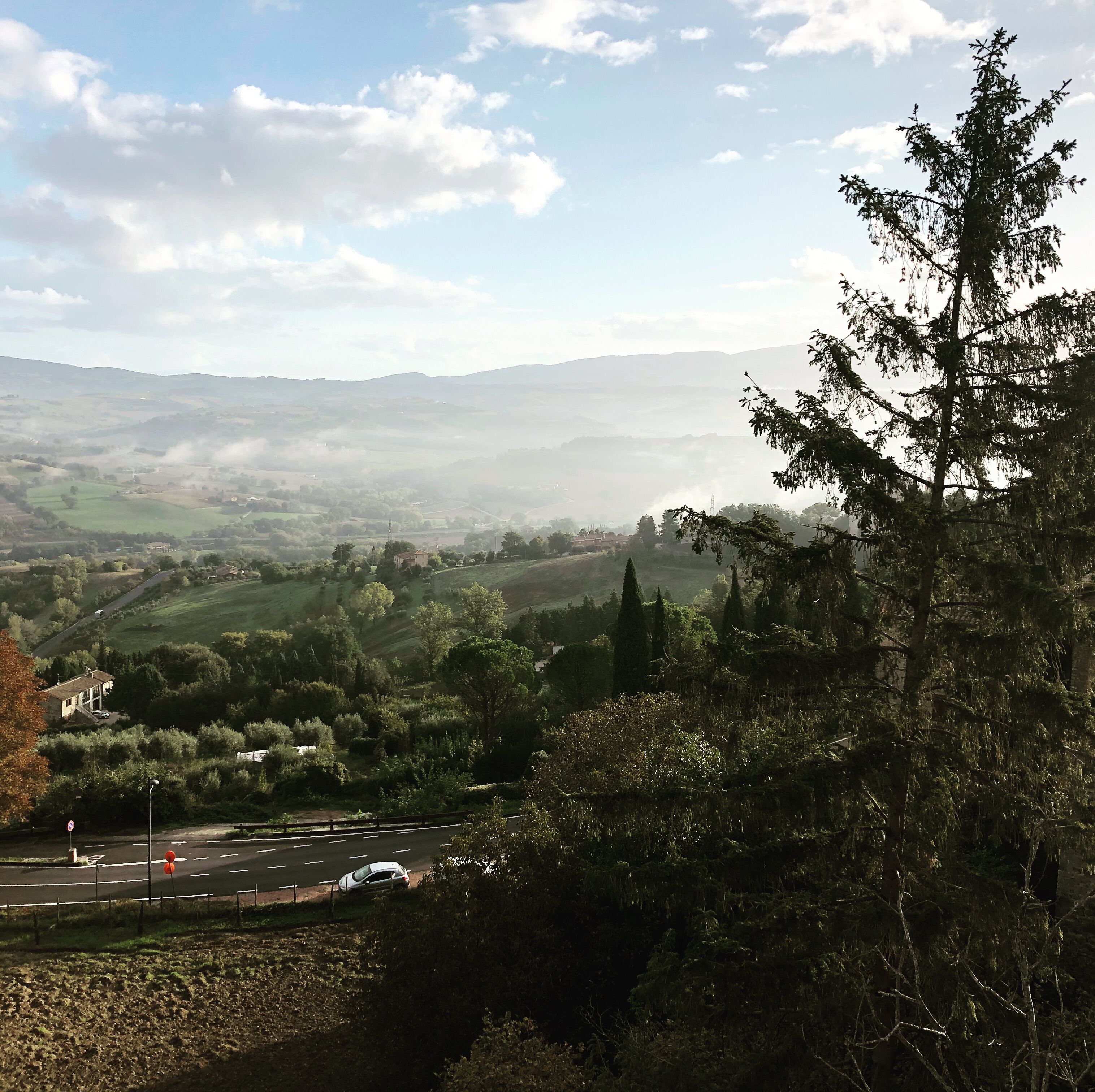 A rural landscape with rolling hills, a road with vehicles, and a prominent tree in the foreground.