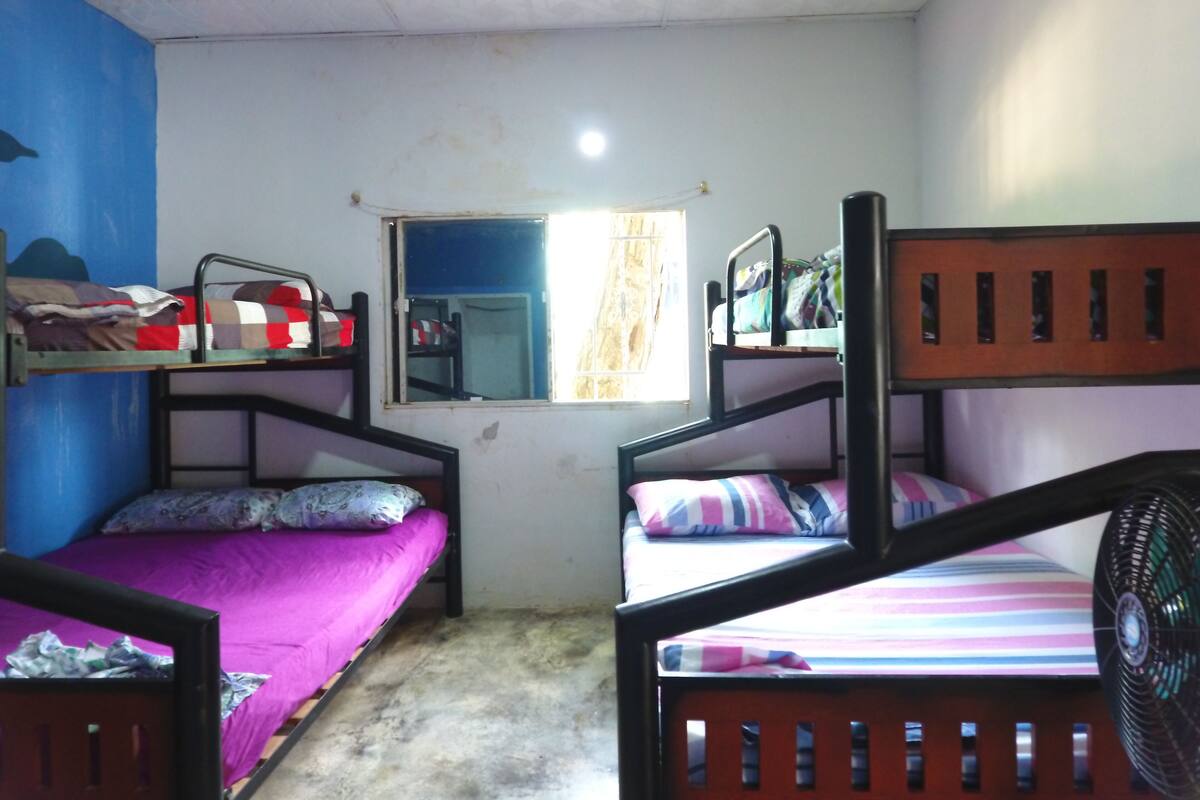 A dormitory room with bunk beds, a window, and a ceiling fan.