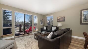 Televisión, chimenea y reproductor de DVD