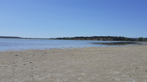 Una playa arenosa con mar tranquilo y una colina boscosa a lo lejos.
