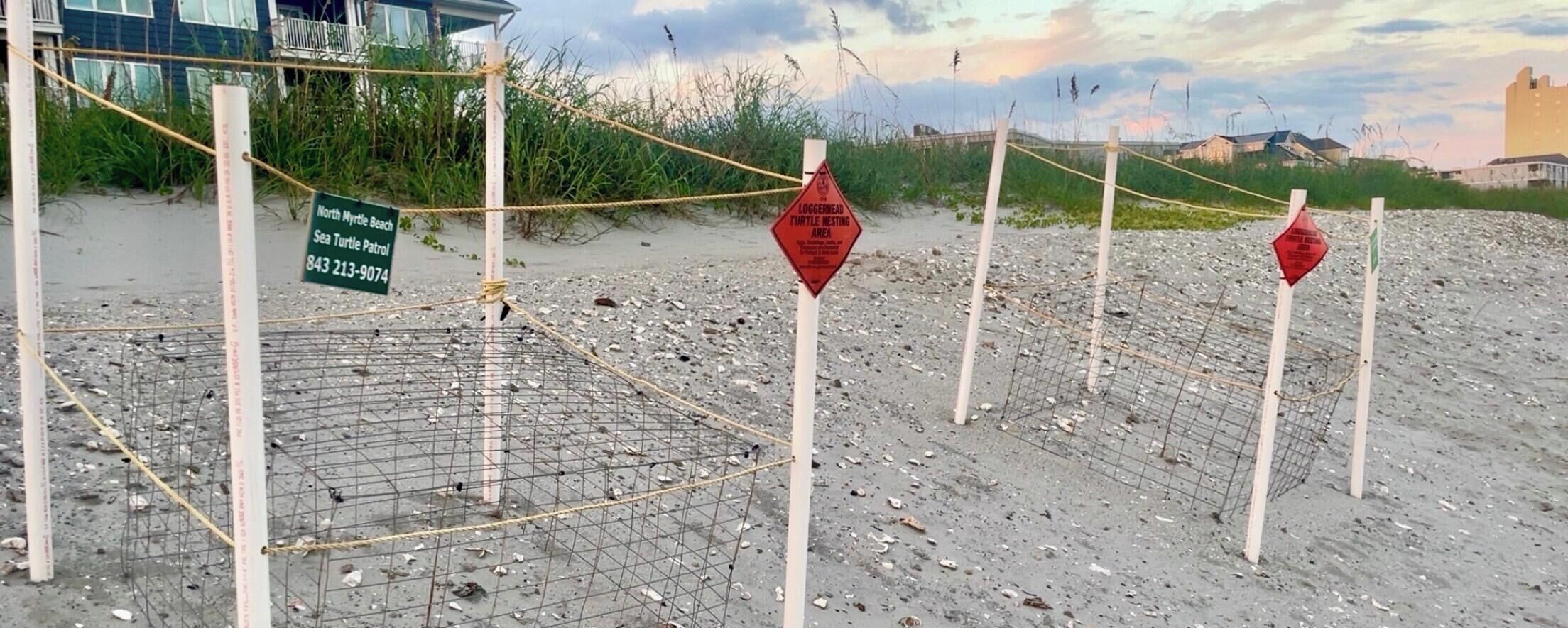 A beach with a turtle nesting area marked by signs and a protective wire fence.