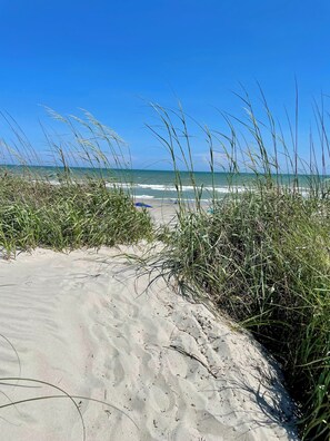 Plage, chaises longues