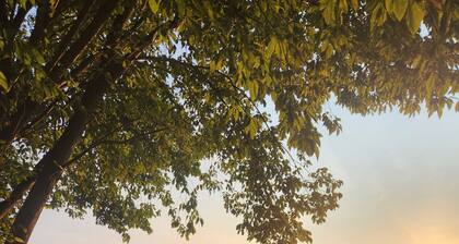 Lake Shafer Home: Boat, Swim, Kayak, BBQ, Sunsets, ten minutes to Indiana Beach