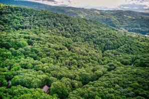 A dense forested area with a small building visible in the lower left corner.