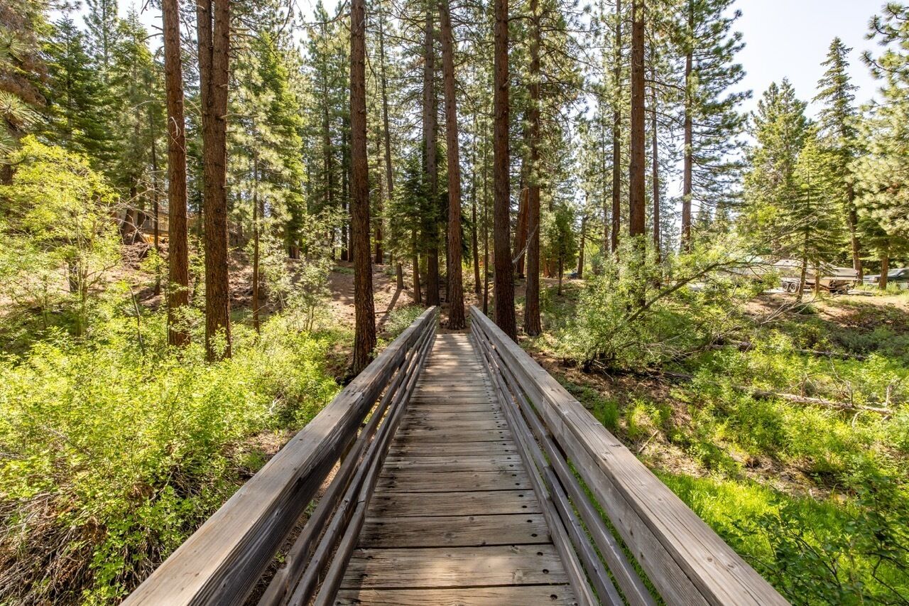 A wooden boardwalk through a forest with tall trees and green underbrush.