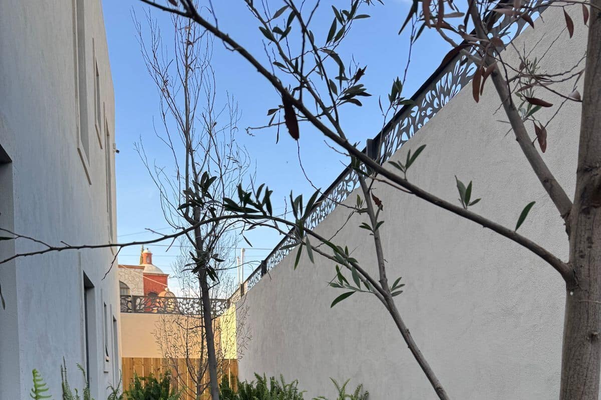 Un pequeño patio al aire libre con mobiliario de madera, plantas en macetas y un árbol.