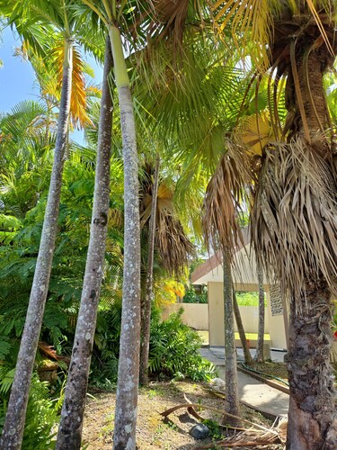 A luxury escape, where the pool is always perfect