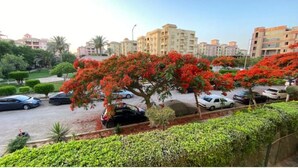 A residential area with multiple apartment buildings, a parking lot with several cars, and a prominent tree with red flowers. - Upscale 2 bedrooms 2B Swimming Pool in Dream Land (Giza Governorate)