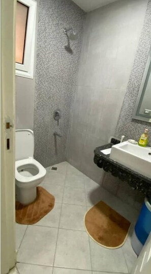 Secador de cabelo, toalhas de banho, sabonete, papel higiênico