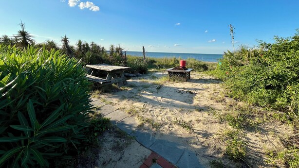 Una playa con una mesa de picnic de madera y una parrilla, rodeada de vegetación y que da al océano.