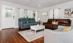 TV, fireplace - Golden Cottage | 2/1.5, Washer/Dryer, Full Kitchen (Fredericksburg)