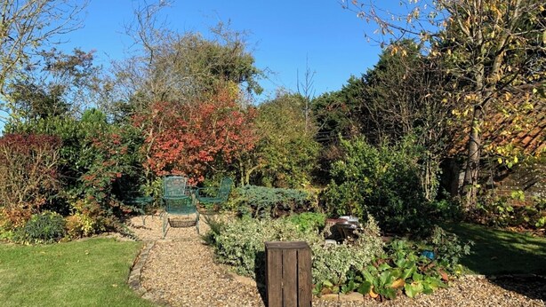 Een tuin met een grindpad dat leidt naar een houten bankje, omringd door diverse planten en bomen.
