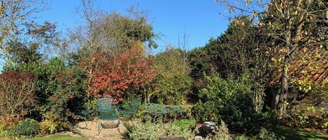 المنطقة المحيطة بالمنشأة