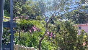 A garden with a wooden fence, various plants, and pink flowers. - 3 Bedroom Passive Haus in the lush Aro Valley (Wellington)