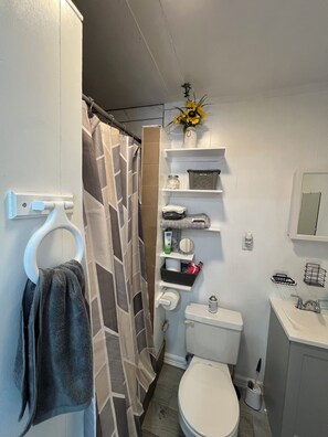 Hair dryer, towels, soap, toilet paper