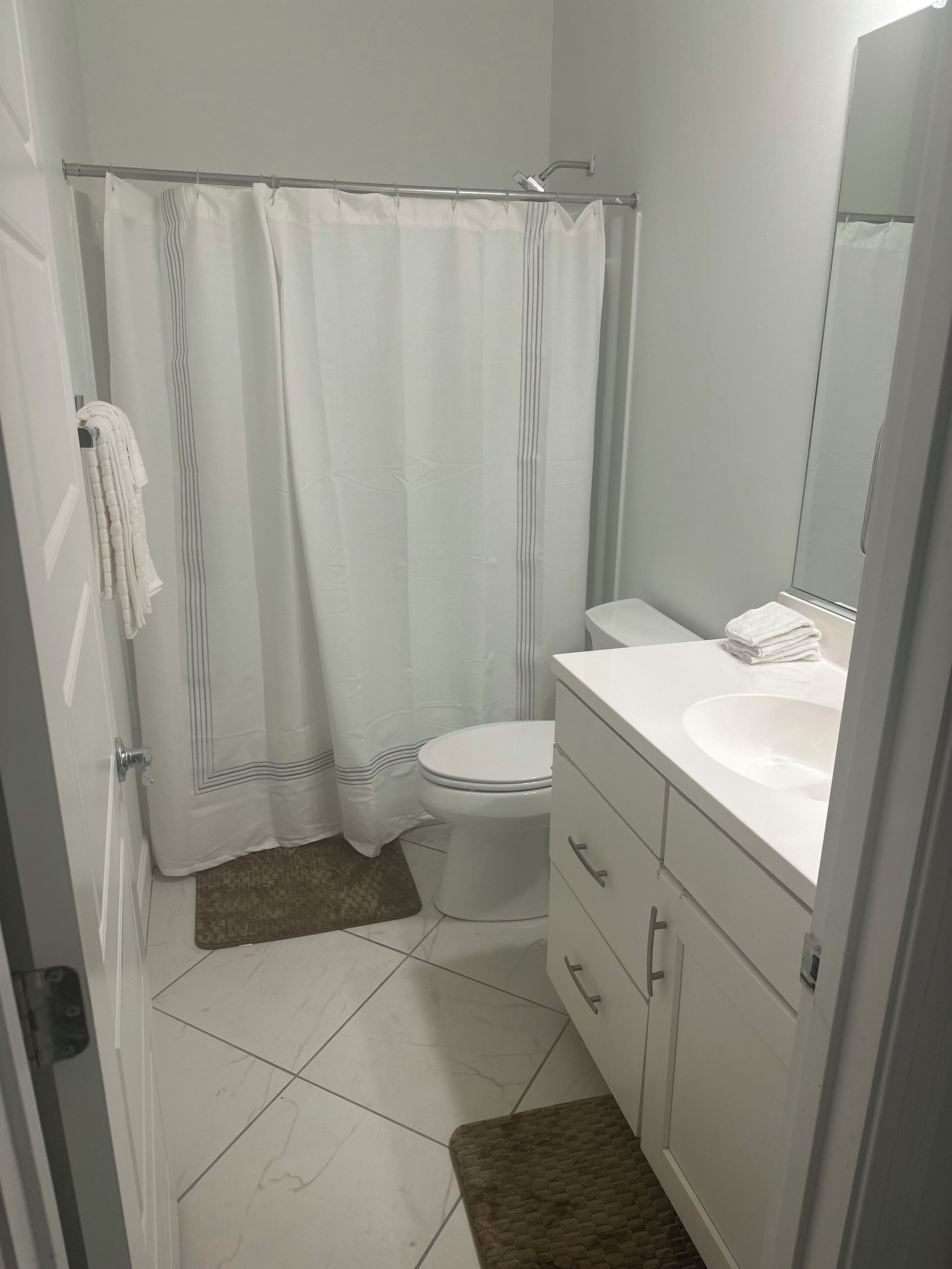 Shower, jetted tub, hair dryer, bidet