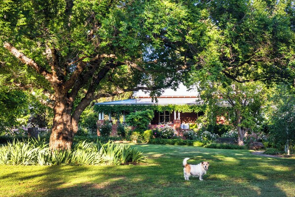 Property grounds - Tom's Cottage @ Wilgowrah. A charming and tranquil garden cottage. (Milroy)