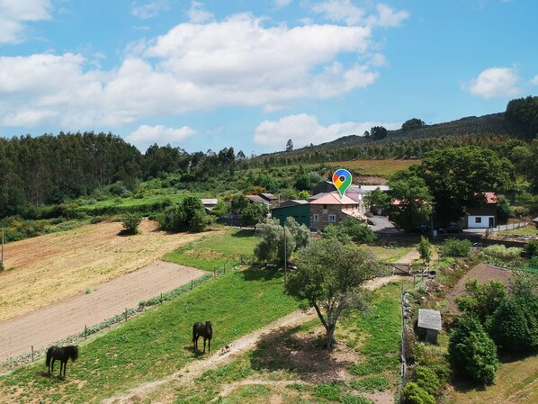 A rural landscape with houses, a horse, and a fenced field.