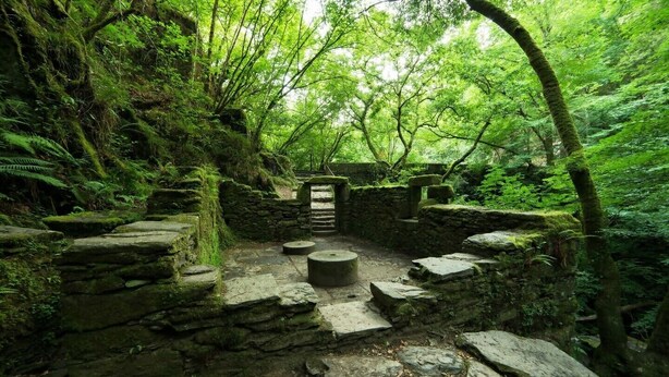 Un sentier de pierres qui traverse une zone boisée, avec des murs recouverts de mousse et une porte en bois.