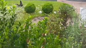 A curved driveway leading to a house surrounded by lush greenery and well-maintained bushes. - Serenity by the Lake. Spacious lake house incredible views in Colonial Beach (Colonial Beach)