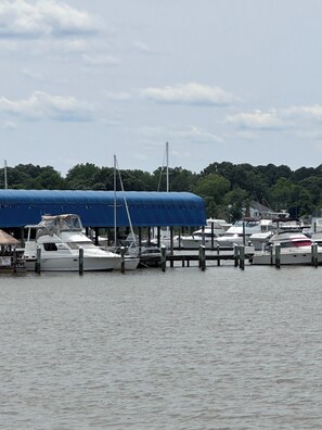 Marina