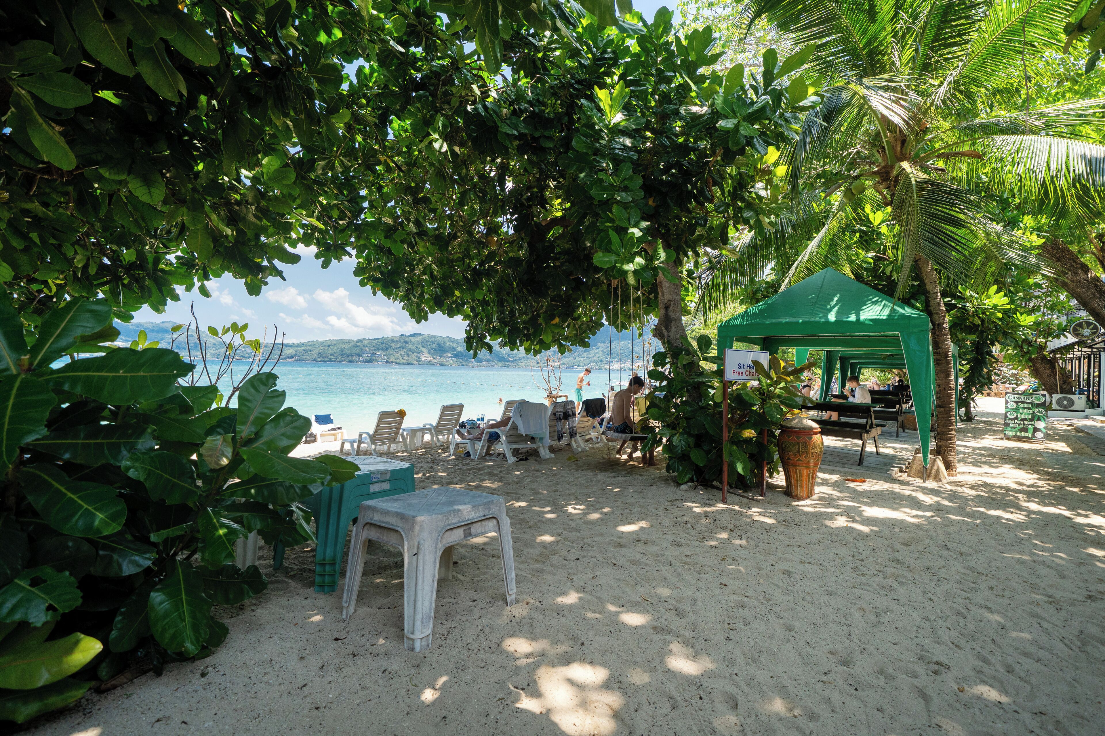 A beach with a green tent, lounge chairs, and a clear view of the sea.