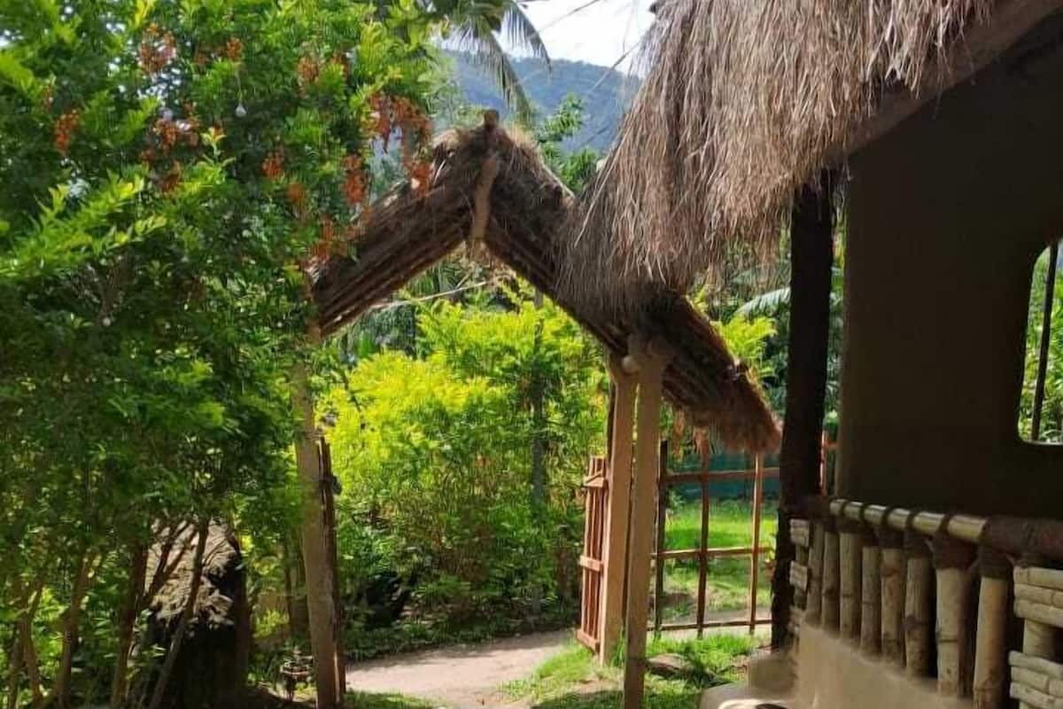 Un sendero conduce a una construcción con techo de paja y una ventana, rodeada de abundante vegetación y un banco de piedra.