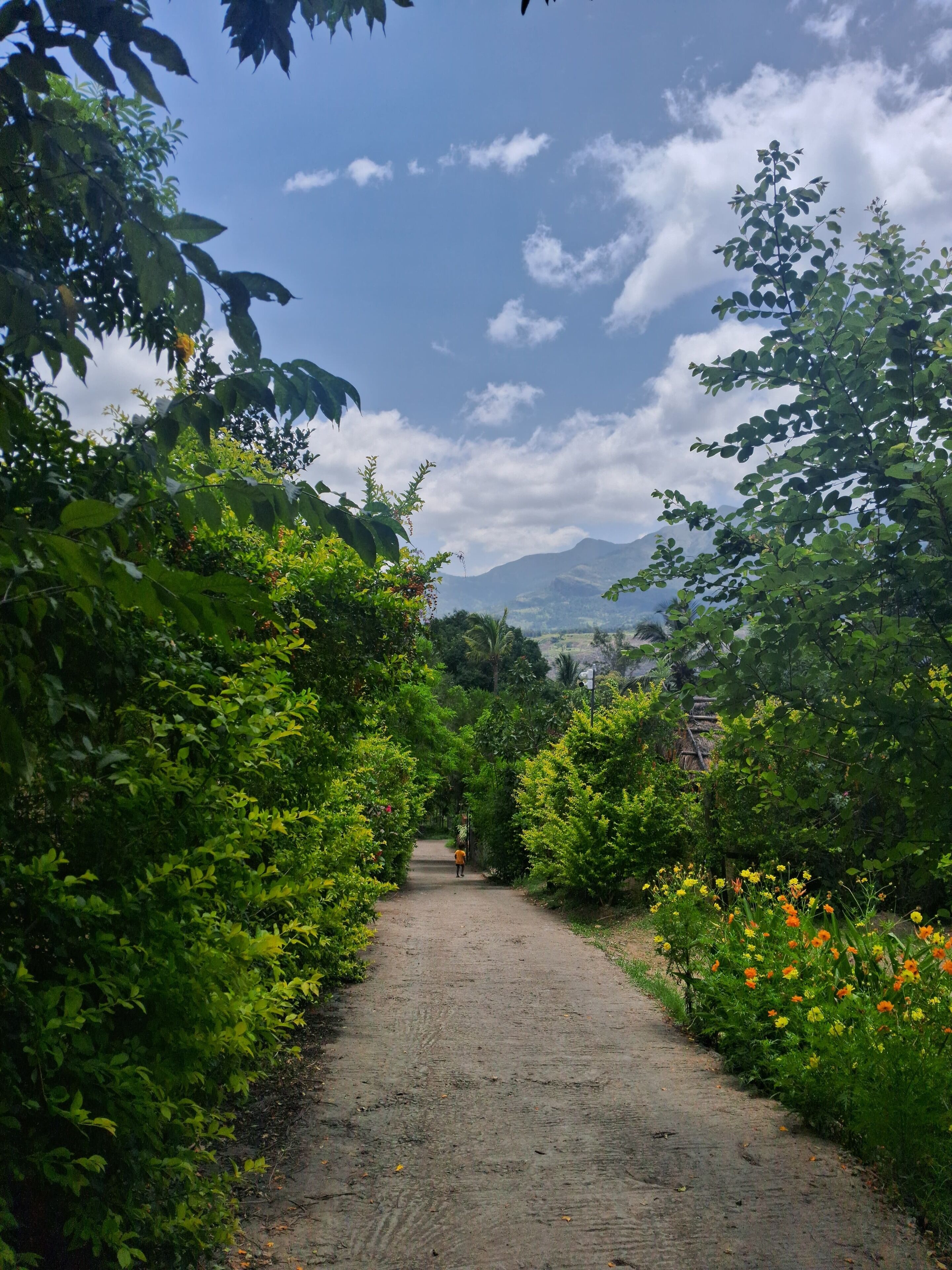 Deluxe Cottage, Garden View | View from property