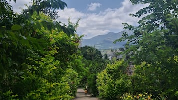 Deluxe Cottage, Garden View | View from property
