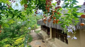 Una casa tradicional con techo de paja y un sendero de jardín que lleva a ella.